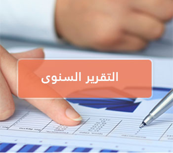 التقرير المالي 2024