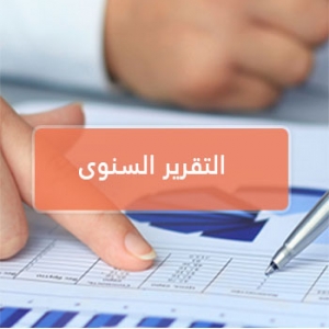 التقرير المالي 2024